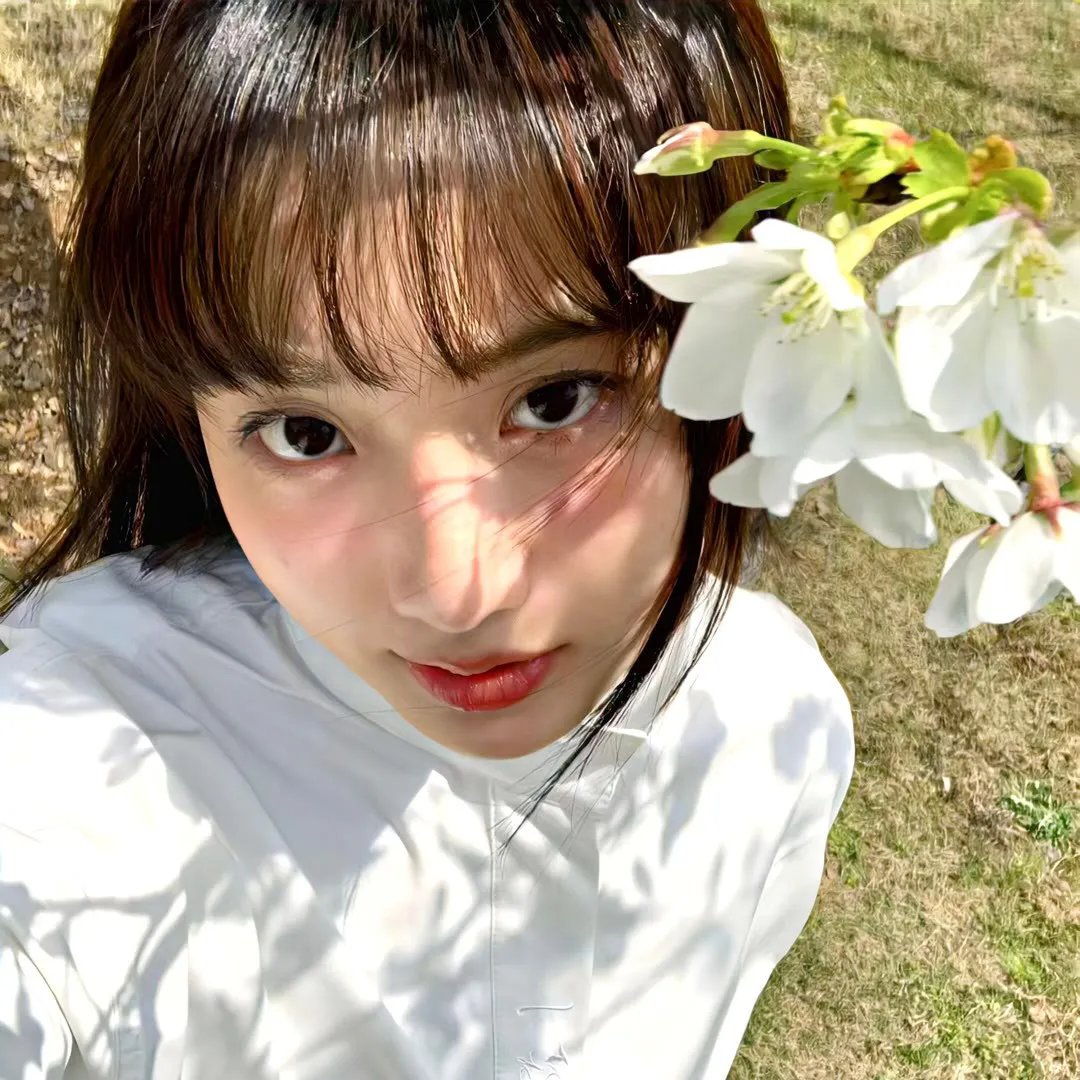 荼靡