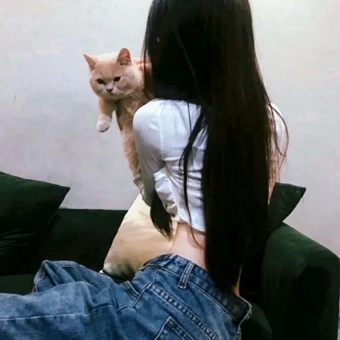 画魂缠身